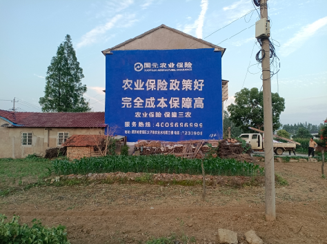 华安墙体广告的优劣势你知道吗?